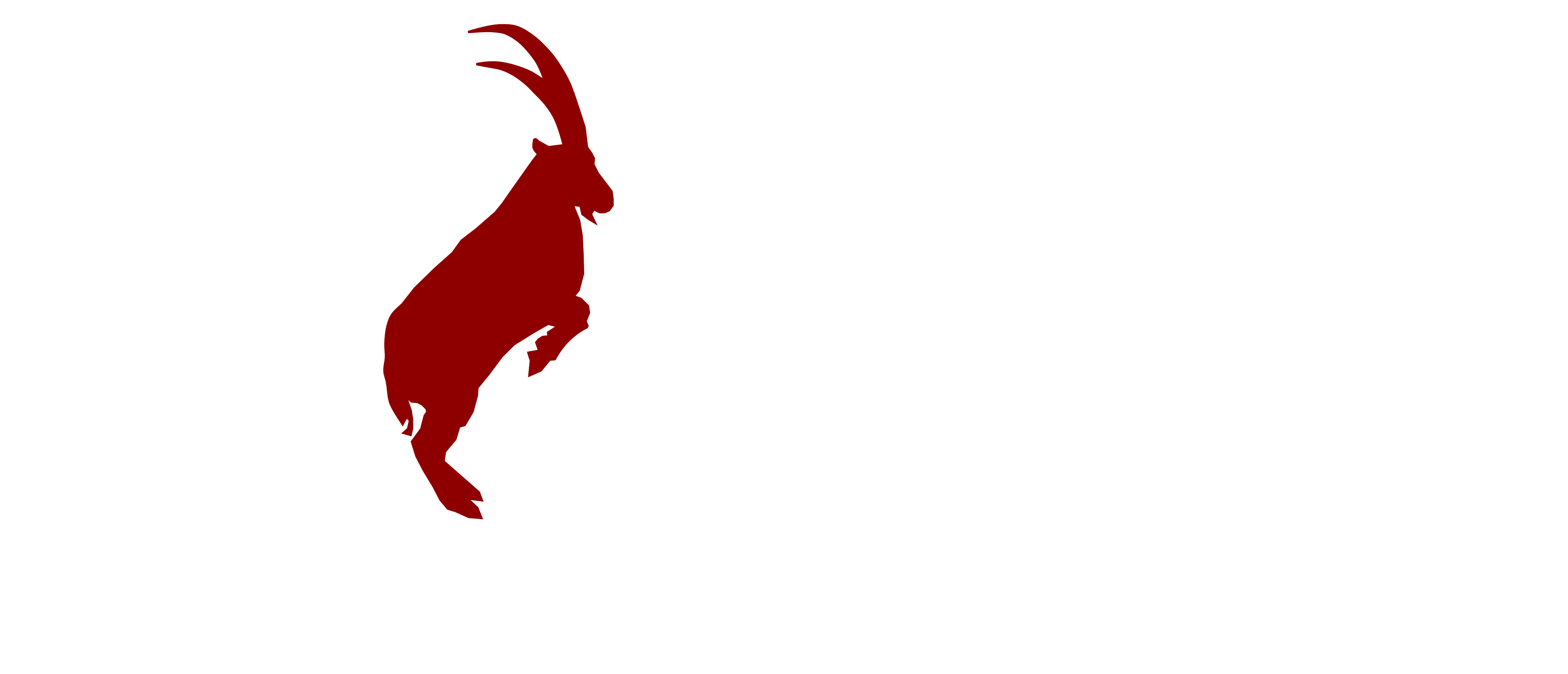 Capricorn Concept GmbH
